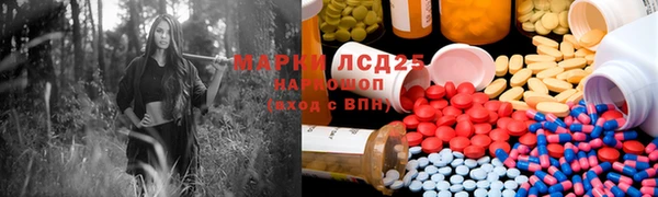 apvp Алексин