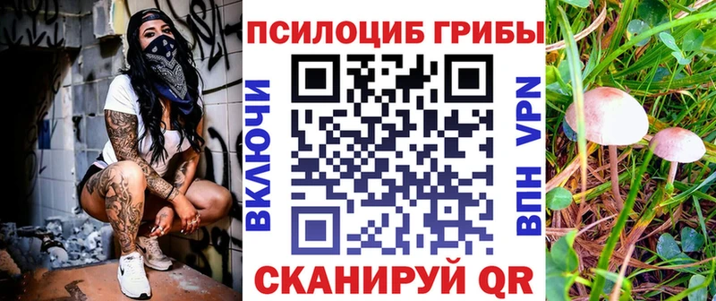 Псилоцибиновые грибы ЛСД  наркошоп  Бавлы 
